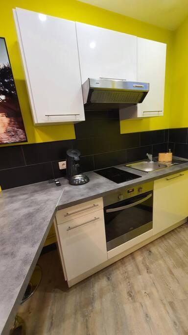 شقة Duplex T2 Neuf Jardin Lecoq كليرمونت-فيراند المظهر الخارجي الصورة